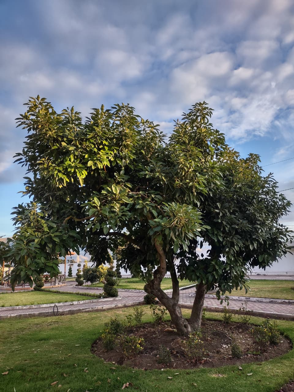 WhatsApp Image 2025-10-01 at 5.38.02 PM (2)