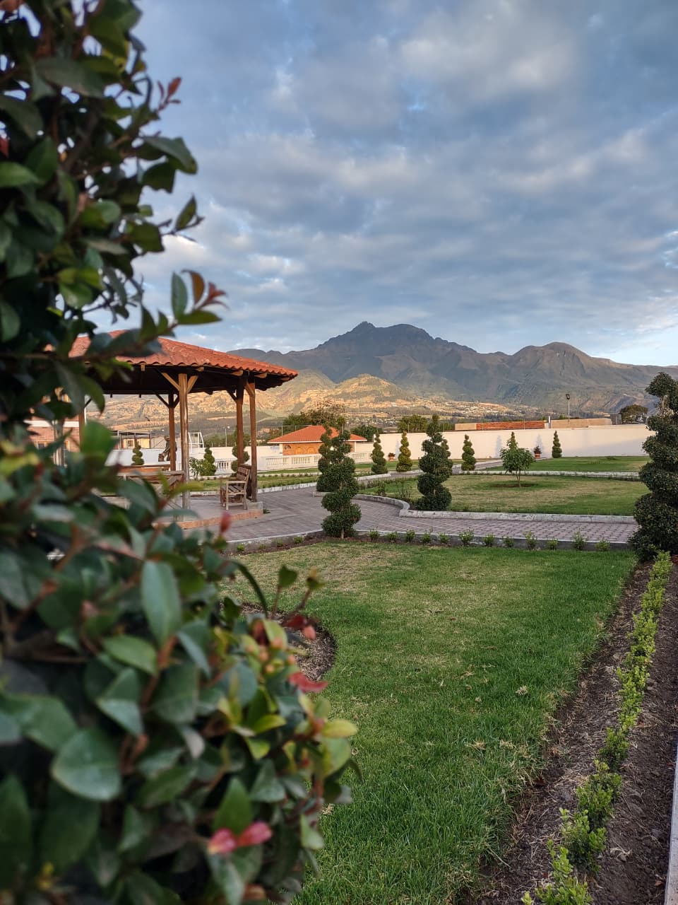 WhatsApp Image 2025-10-01 at 5.38.03 PM